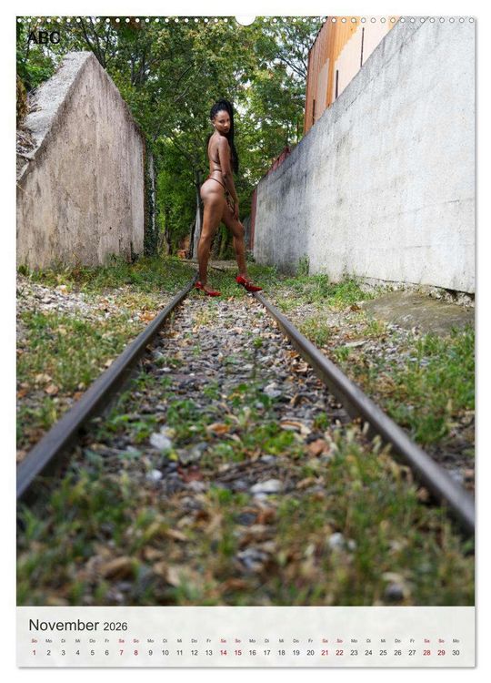 Produktbild: Sexy Bahnfahrt (hochwertiger Premium Wandkalender 2026 DIN A2 hoch), Kunstdruck in Hochglanz
