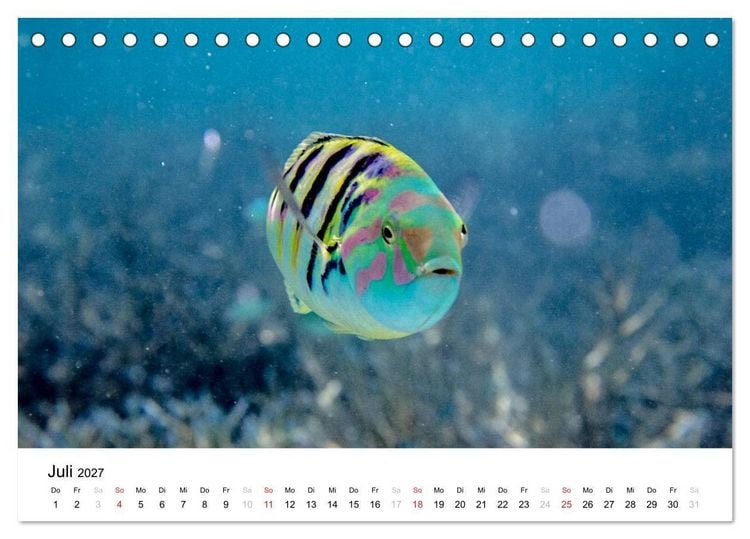 Produktbild: Malediven - Das Paradies im Indischen Ozean I (Tischkalender 2027 DIN A5 quer), CALVENDO Monatskalender