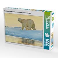 Produktbild: CALVENDO Puzzle Pr&auml;chtiger Eisb&auml;r vor einem leuchtenden Sonnenuntergang. | 1000 Teile Lege-Gr&ouml;&szlig;e 64x48cm Foto-Puzzle f&uuml;r gl&uuml;ckliche Stunden