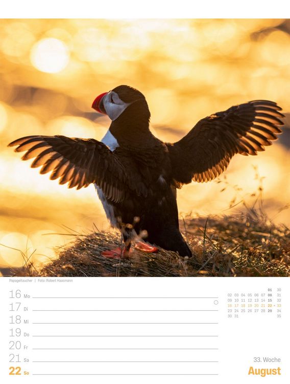 Produktbild: Island Wochenplaner Kalender 2027 | Die Insel aus Feuer und Eis