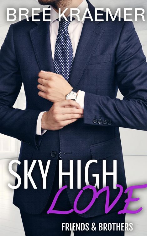 Produktbild: Sky High Love (Friends & Brothers, #1)