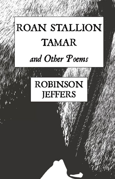 Produktbild: Roan Stallion, Tamar and Other Poems