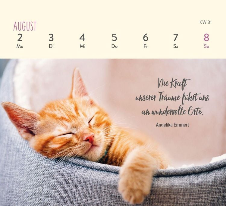Produktbild: Mini-Wochenkalender 2027: F&uuml;r Katzenfreunde