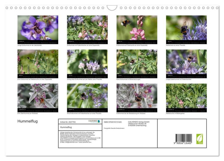 Produktbild: Hummelflug (Wandkalender 2026 DIN A3 quer), CALVENDO Monatskalender