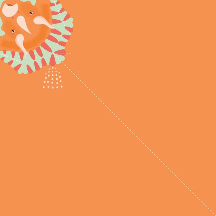 Produktbild: Bowman, L: Origami-Set f&uuml;r Einsteiger: Dinosaurier