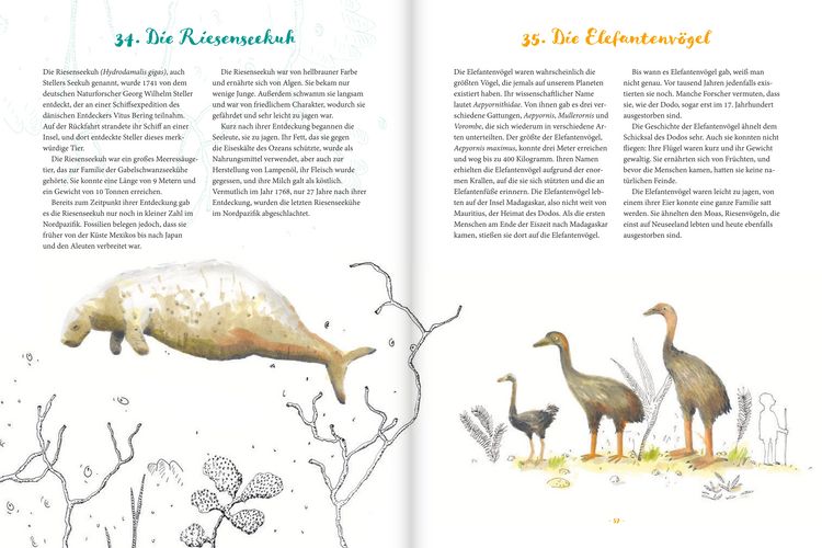 Produktbild: Damals der Dodo