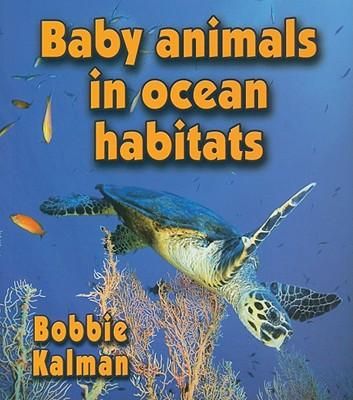 Produktbild: Baby Animals in Ocean Habitats