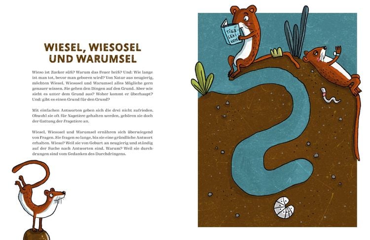 Produktbild: Von Schildfl&ouml;ten, Herdm&auml;nnchen und Gro&szlig;maulnash&ouml;rnern.
