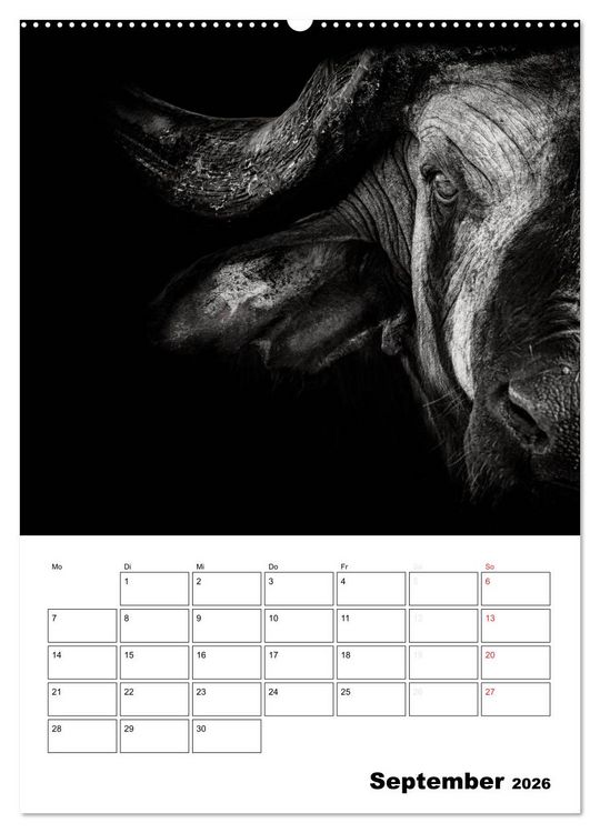 Produktbild: Charakterk&ouml;pfe aus der Welt der Tiere (hochwertiger Premium Wandkalender 2026 DIN A2 hoch), Kunstdruck in Hochglanz