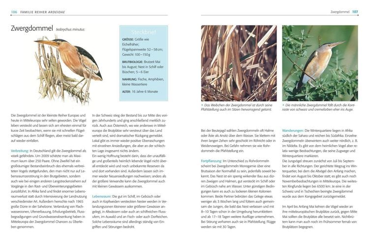 Produktbild: Das BLV Handbuch V&ouml;gel