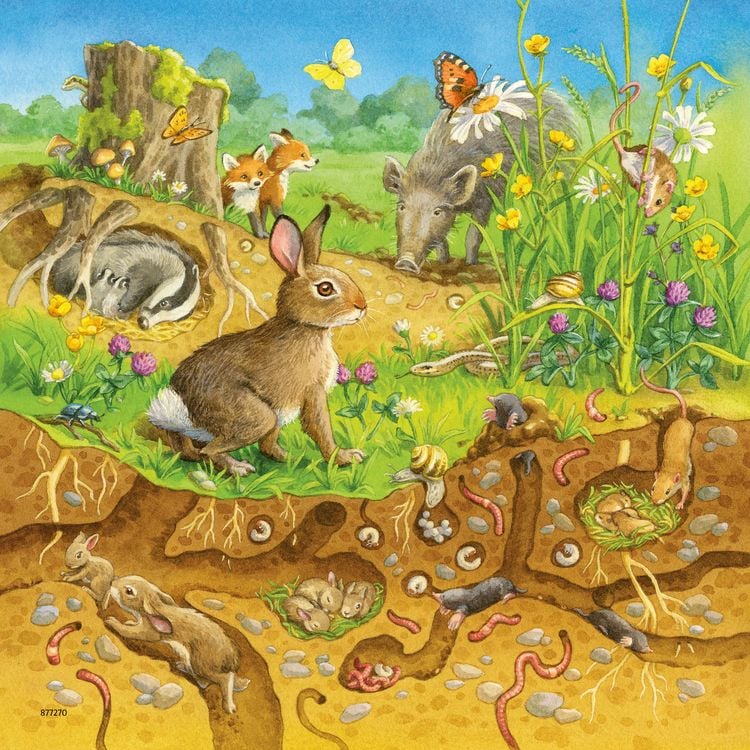 Produktbild: Puzzle Ravensburger Tiere in ihren Lebensr&auml;umen 3 X 49 Teile