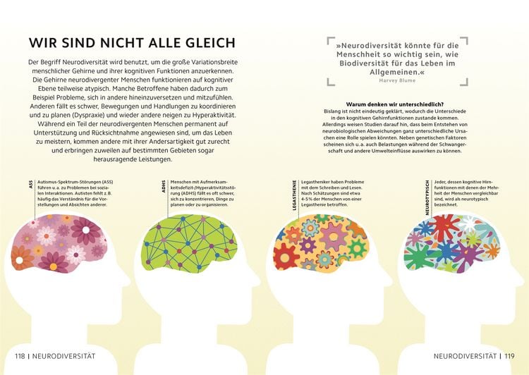 Produktbild: SIMPLY. Das Gehirn