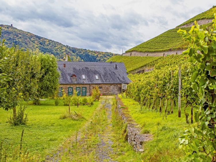 Produktbild: CALVENDO Puzzle Weingut im Ahrtal | 1000 Teile Lege-Gr&ouml;&szlig;e 64x48cm Foto-Puzzle f&uuml;r gl&uuml;ckliche Stunden