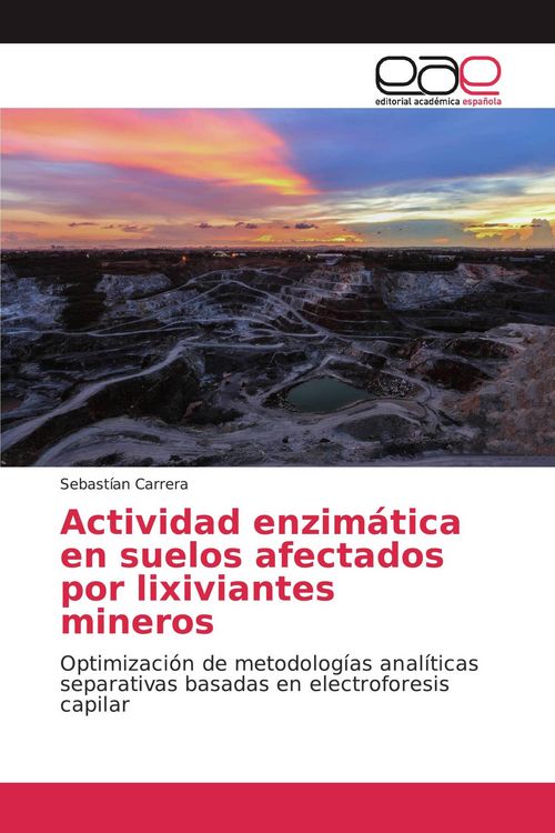Produktbild: Actividad enzim&aacute;tica en suelos afectados por lixiviantes mineros