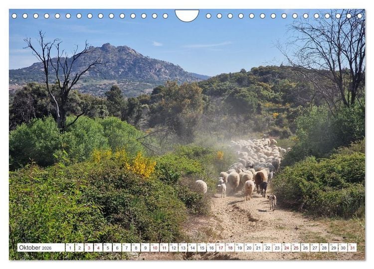 Produktbild: Camino Levante - magische Momente auf stillen Wegen (Wandkalender 2026 DIN A4 quer), CALVENDO Monatskalender