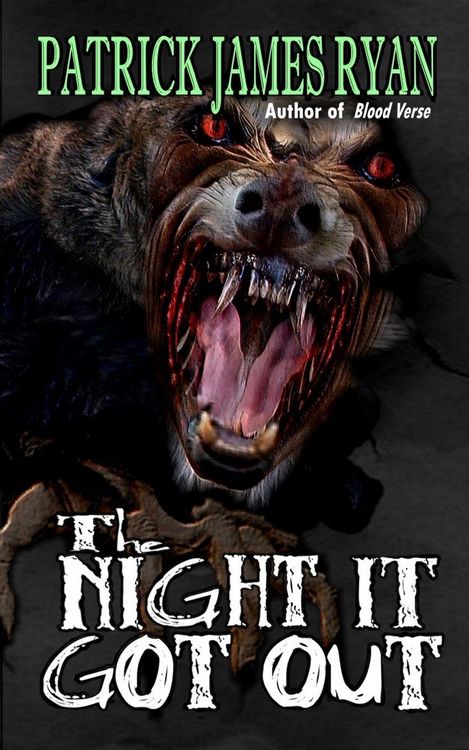 Produktbild: The Night It Got Out