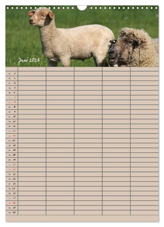 Produktbild: Der bel&auml;mmerte Familienplaner (Wandkalender 2026 DIN A3 hoch), CALVENDO Monatskalender
