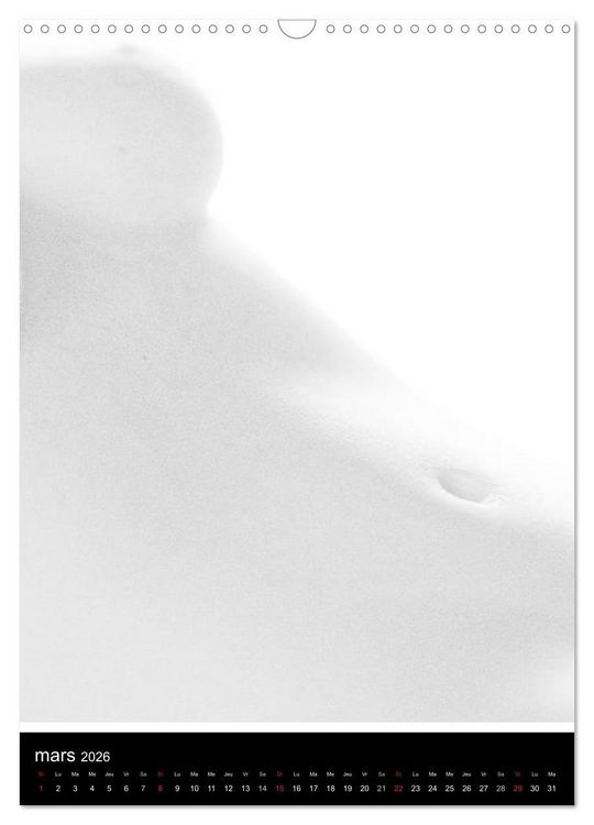 Produktbild: F&eacute;minit&eacute; (Calendrier mural 2026 DIN A3 horizontal), CALVENDO calendrier mensuel
