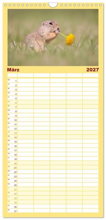 Produktbild: Familienplaner 2027 - Zauberhafte Ziesel mit 5 Spalten (Wandkalender, 21 x 45 cm) CALVENDO