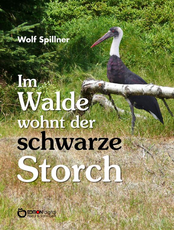 Produktbild: Im Walde wohnt der schwarze Storch
