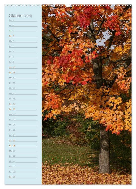 Produktbild: Ebern - lebenswerte Stadt in Franken (hochwertiger Premium Wandkalender 2026 DIN A2 hoch), Kunstdruck in Hochglanz