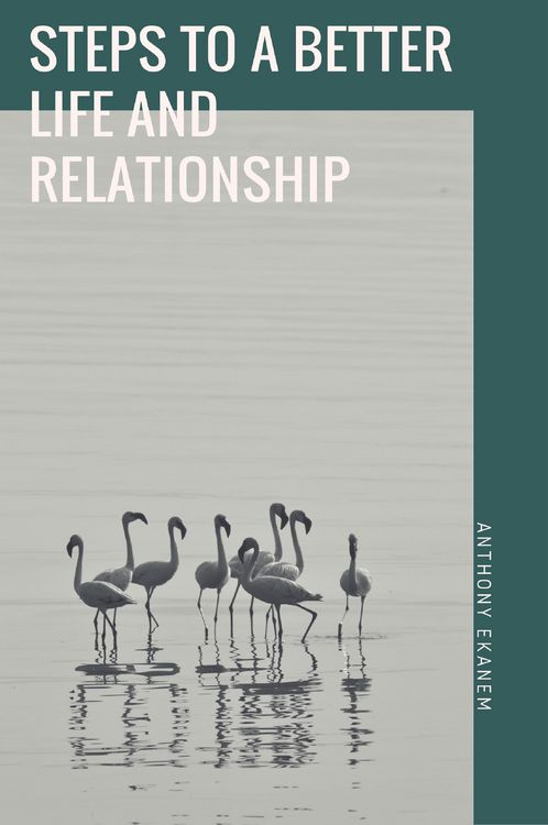 Produktbild: Steps to a Better Life and Relationship