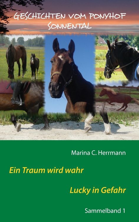 Produktbild: Geschichten vom Ponyhof Sonnental