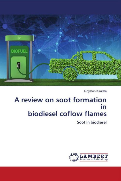 Produktbild: A review on soot formation in biodiesel coflow flames