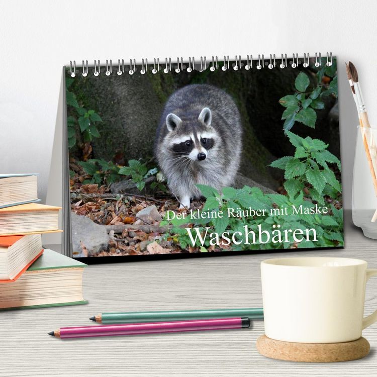 Produktbild: Der kleine R&auml;uber mit Maske - Waschb&auml;ren (Tischkalender 2026 DIN A5 quer), CALVENDO Monatskalender