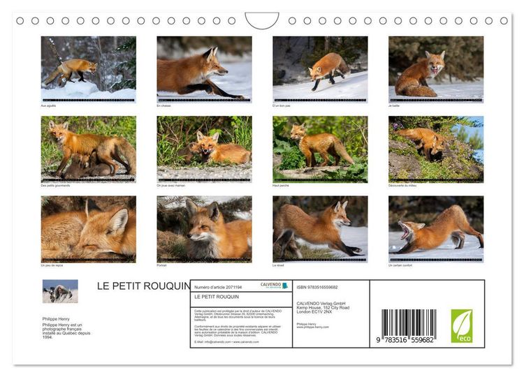 Produktbild: LE PETIT ROUQUIN (Calendrier mural 2026 DIN A4 vertical), CALVENDO calendrier mensuel