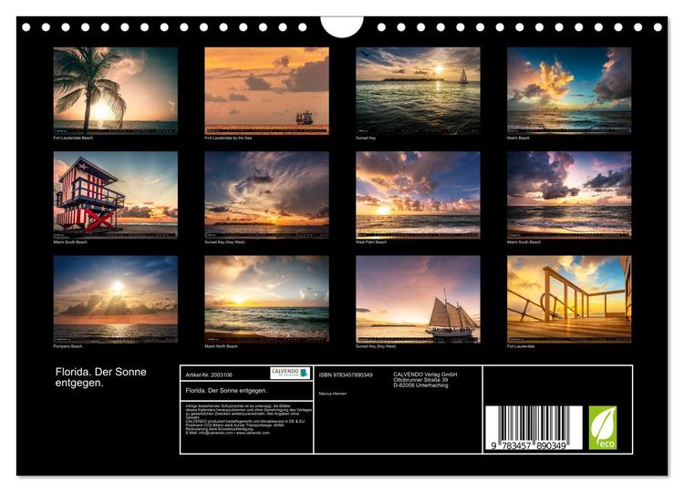 Produktbild: Florida. Der Sonne entgegen. (Wandkalender 2026 DIN A4 quer), CALVENDO Monatskalender
