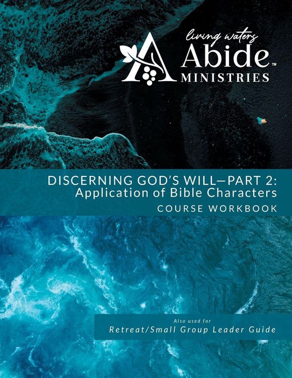 Produktbild: Discerning God's Will - 2