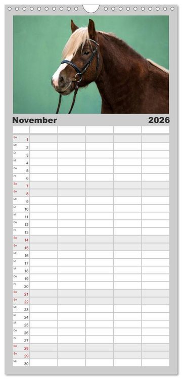 Produktbild: Familienplaner 2026 - Faszination und Vielfalt - Schwarzw&auml;lder Kaltblut mit 5 Spalten (Wandkalender, 21 x 45 cm) CALVENDO