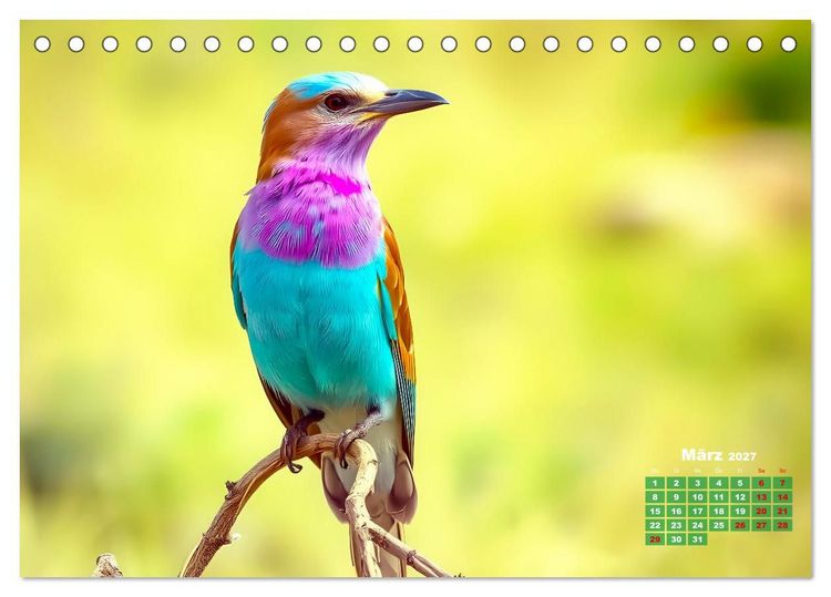 Produktbild: Leuchtend farbenfrohe V&ouml;gel (Tischkalender 2027 DIN A5 quer), CALVENDO Monatskalender