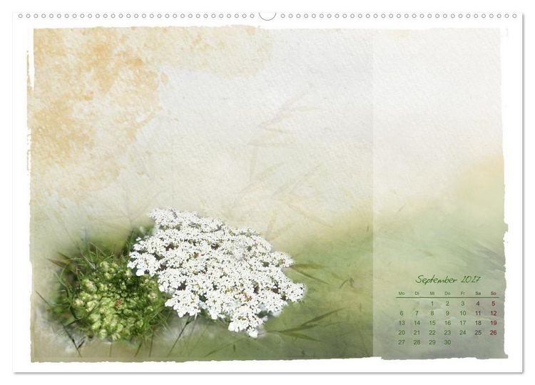 Produktbild: Natur und Farbe Fotografie trifft Aquarell (Wandkalender 2027 DIN A2 quer), CALVENDO Monatskalender