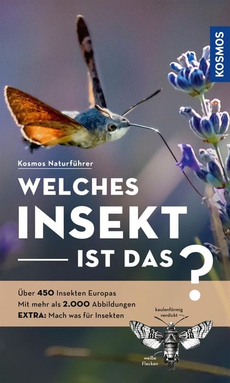 Produktbild: Welches Insekt ist das?