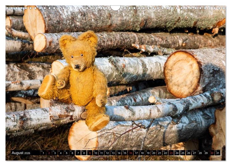 Produktbild: Neue Abenteuer von Teddy Basse (Wandkalender 2026 DIN A3 quer), CALVENDO Monatskalender