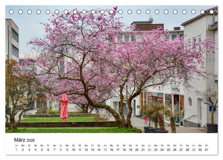 Produktbild: Kassel - Morgenlicht (Tischkalender 2026 DIN A5 quer), CALVENDO Monatskalender