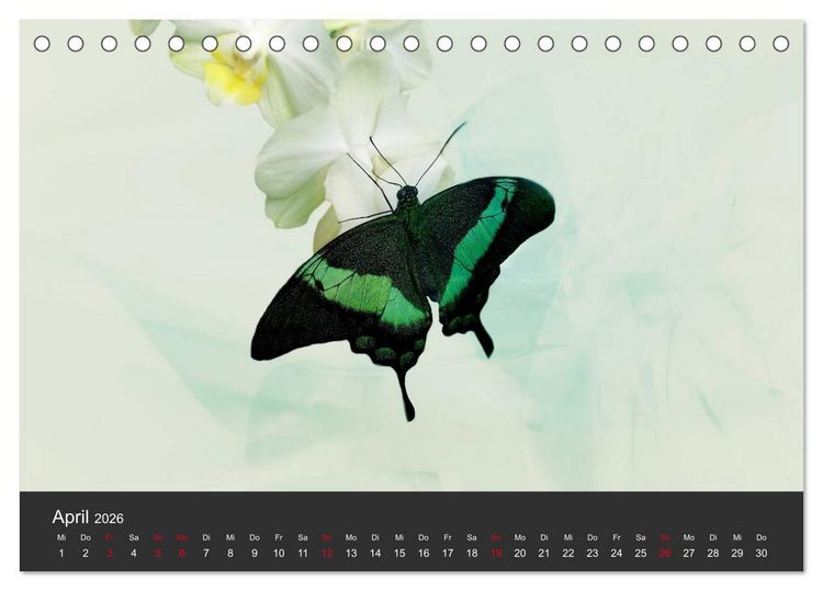 Produktbild: Schmetterlinge (Tischkalender 2026 DIN A5 quer), CALVENDO Monatskalender