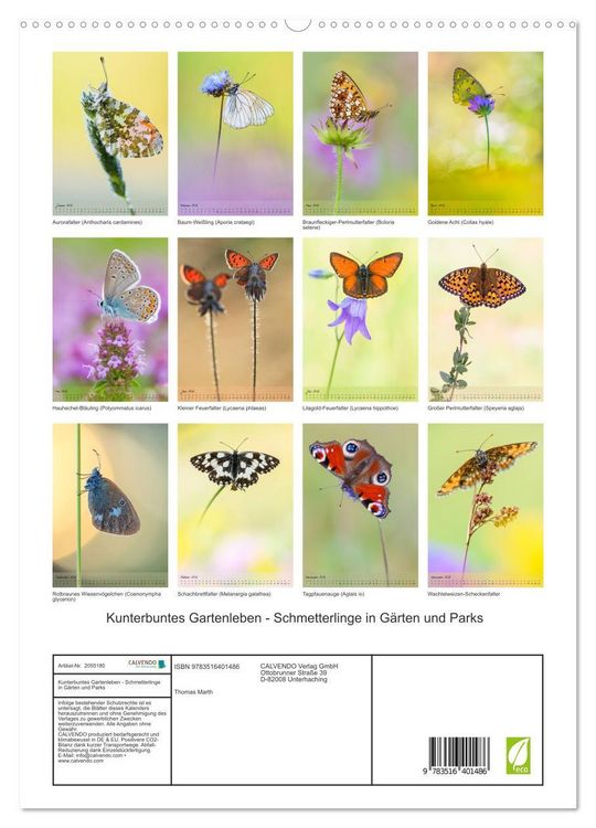 Produktbild: Kunterbuntes Gartenleben - Schmetterlinge in G&auml;rten und Parks (hochwertiger Premium Wandkalender 2026 DIN A2 hoch), Kunstdruck in Hochglanz