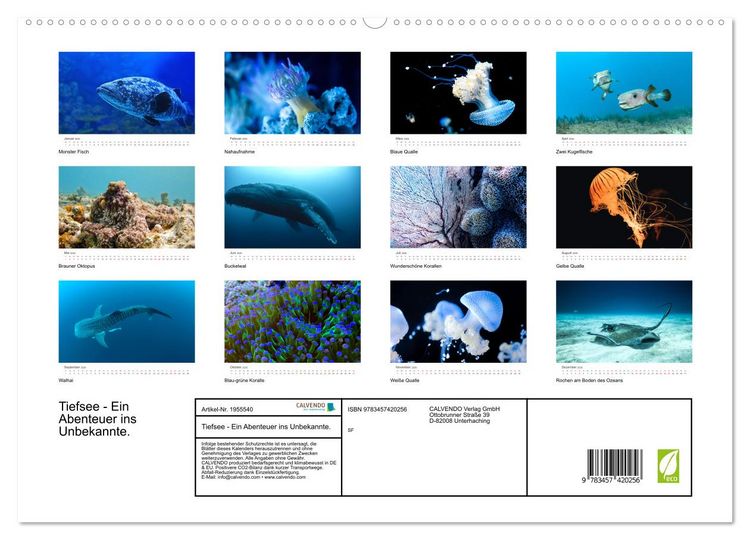 Produktbild: Tiefsee - Ein Abenteuer ins Unbekannte. (hochwertiger Premium Wandkalender 2026 DIN A2 quer), Kunstdruck in Hochglanz