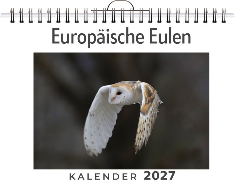 Produktbild: Europ&auml;ische Eulen