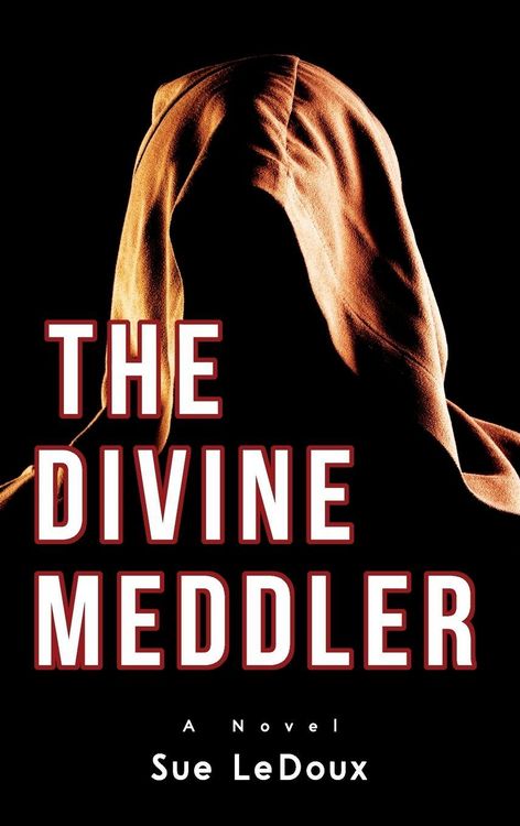 Produktbild: The Divine Meddler