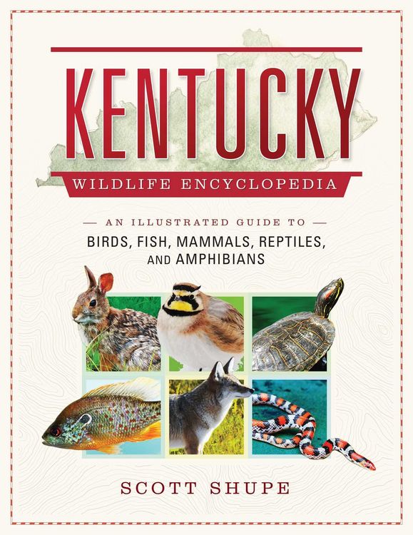 Produktbild: Kentucky Wildlife Encyclopedia