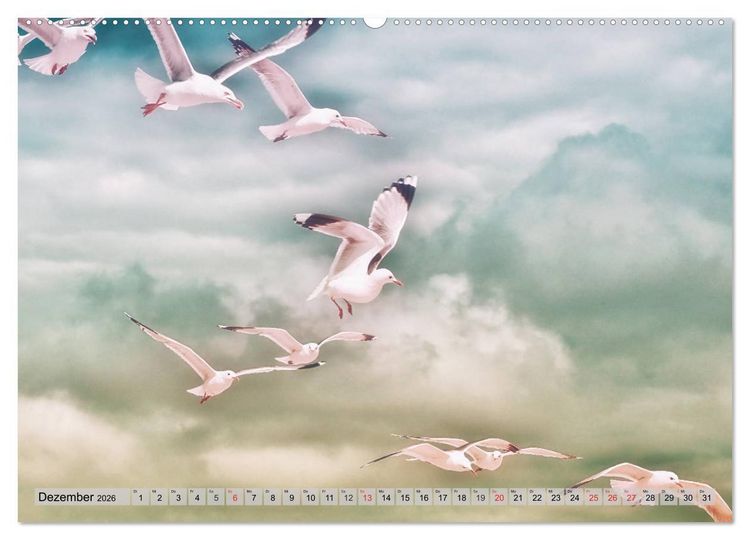 Produktbild: AMRUM Art (hochwertiger Premium Wandkalender 2026 DIN A2 quer), Kunstdruck in Hochglanz