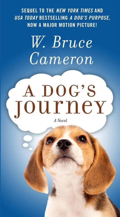 Produktbild: Cameron, W: Dog's Journey