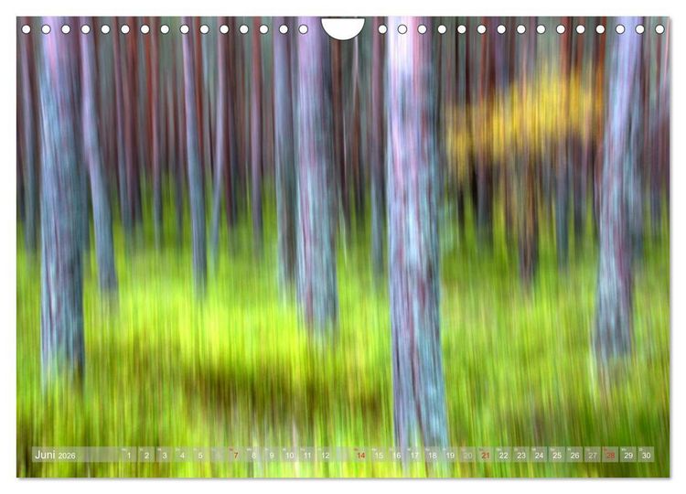 Produktbild: Atelier Wald - gemalt mit Licht (Wandkalender 2026 DIN A4 quer), CALVENDO Monatskalender