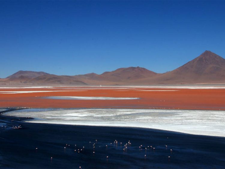 Produktbild: CALVENDO Puzzle Laguna Colorado, Sur L&iacute;pez, Bolivien | 1000 Teile Lege-Gr&ouml;&szlig;e 64 &times; 48 cm Foto-Puzzle f&uuml;r gl&uuml;ckliche Stunden