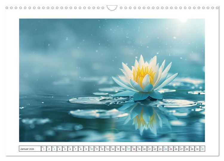 Produktbild: Lichtspiel der Seerosen (Wandkalender 2026 DIN A3 quer), CALVENDO Monatskalender