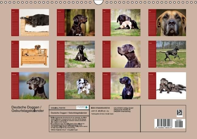 Produktbild: Deutsche Doggen / Geburtstagskalender (Wandkalender immerw&auml;hrend DIN A3 quer)